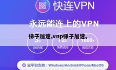 梯子加速,vnp梯子加速。