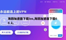 海鸥加速器下载ios,海鸥加速器下载6 6 2。