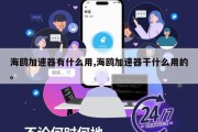 海鸥加速器有什么用,海鸥加速器干什么用的。